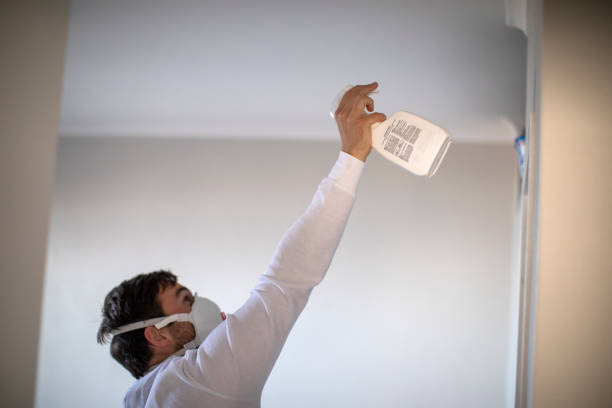 Best Mold Damage Repair  in West Haven, CT